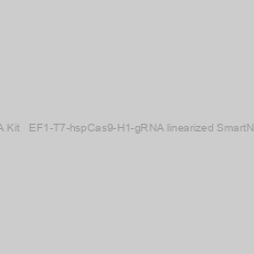 Image of Multiplex gRNA Kit + EF1-T7-hspCas9-H1-gRNA linearized SmartNuclease vector